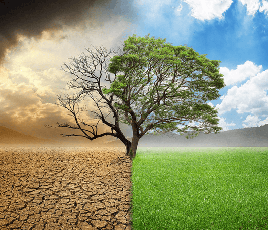 Climate Change in Agriculture: Navigating Change, Cultivating Resilience - Southern Drone OPS