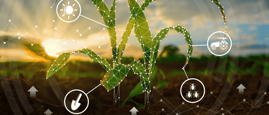The Digital Farmer: Integrating Drones into Everyday Agri-Tasks - Southern Drone OPS