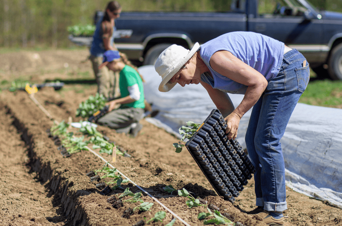 The Essential Guide to Preparing Land for Planting: Step-by-Step - Southern Drone OPS