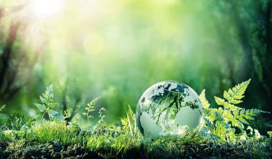 Embarking on a Green Journey: Sustainable Farming Practices with Southern Drone OPS - Southern Drone OPS